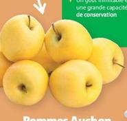Filière Auchan : Découvrez les délicieuses Pommes Cultivon Le Bon Golden d'Altitude du Limousin ou des Hautes Alpes en promotion !