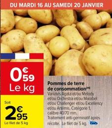 pommes de terre