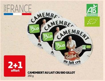 Camembert Au Lait Cru Bio