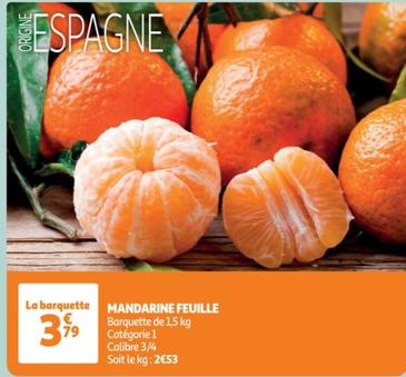 Mandarine Feuille