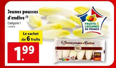 Jeunes Pousses D'endive