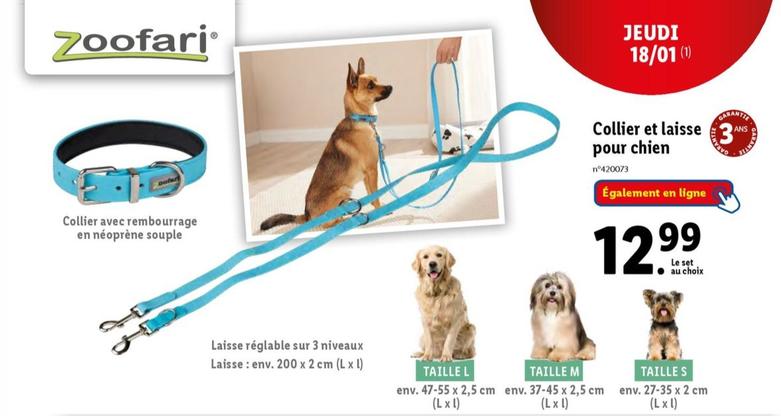 Zoofari - Collier Et Laisse Pour Chien