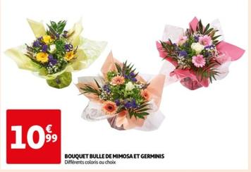 Bouquet Bulle De Mimosa Et Germinis