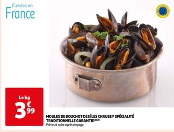 Moules de Bouchot des Îles Chausey - Spécialité traditionnelle garantie : une promo à ne pas manquer !