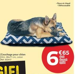 Couchage Pour Chien