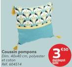Coussin Pompons