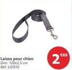 Laisse Pour Chien