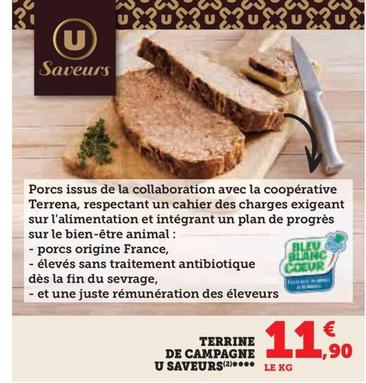 U Saveurs - Terrine De Campagne