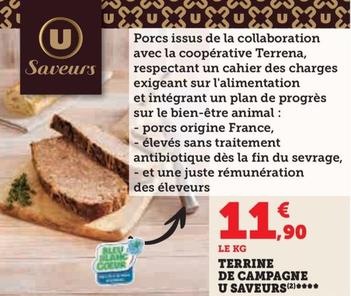 U Saveurs - Terrine De Campagne