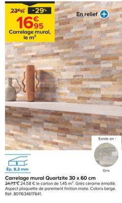 Carrelage Mural Quartzite 30 X 60 Cm