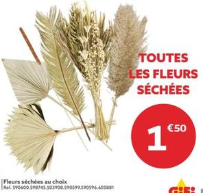 Fleurs Séchées Au Choix