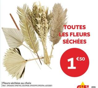 Fleurs Séchées Au Choix