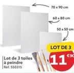 Lot De 3 Toiles À Peindre