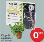 Kit Prêt À Pousser