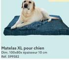 Matelas Xl Pour Chien