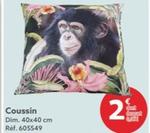 coussin décoratif