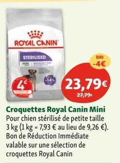 royal canin - croquettes