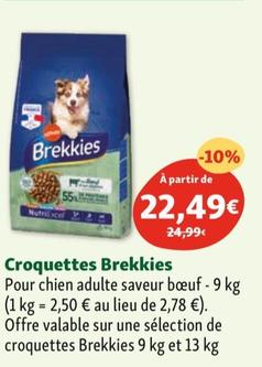brekkies - croquettes 