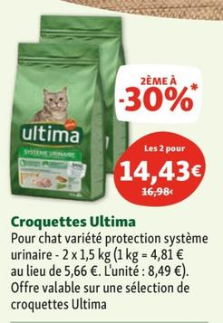 Croquettes