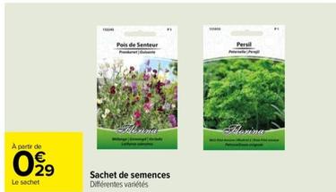Sachet De Semences