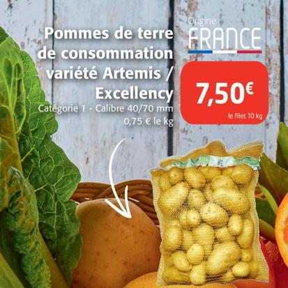 découvrez les délicieuses pommes de terre de consommation artemis / excellency en promo !