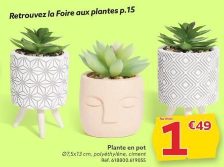 Plante en pot offre à 1,49€ sur Gifi
