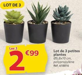 Lot De 3 Petites Plantes offre à 2,99€ sur Gifi