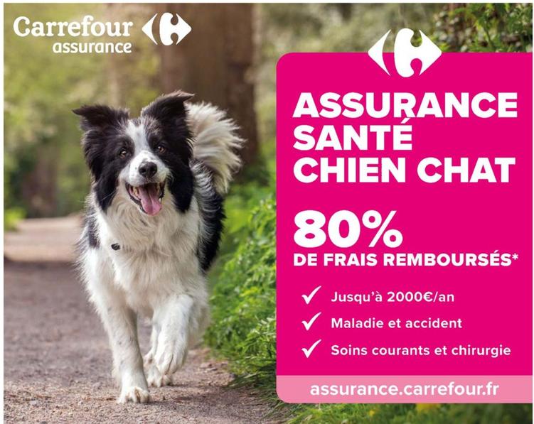 Carrefour - Assurance Santé Chien Chat offre sur Carrefour Market