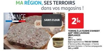 terrine à la fourme d'ambert aop mère lavergne uniplaneze - promo et caractéristiques