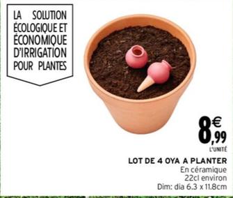 Lot De 4 Oya A Planter offre à 8,99€ sur Intermarché Express