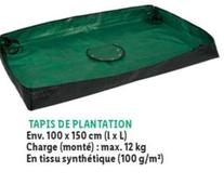 Parkside - Tapis De Plantation