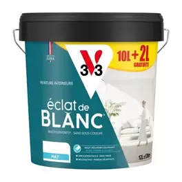 V33 - Peinture Blanche Éclat De Blanc