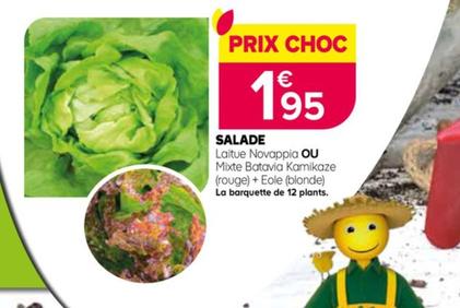 Salades offre sur Kiriel