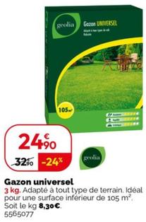 Geolia - Gazon Universel offre à 24,9€ sur Weldom