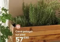  Carré Potager Sur Pied  offre à 57,9€ sur Castorama