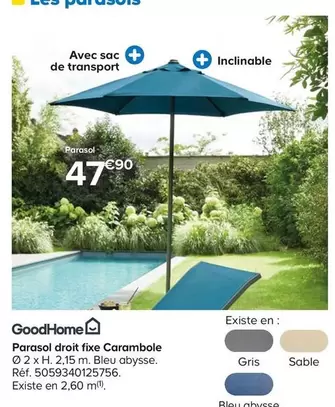 Goodhome - Parasol Droit Fixe offre à 47,9€ sur Castorama