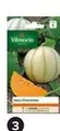 Vilmorin - Melon Charentais offre à 2,9€ sur Castorama