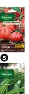 Vilmorin - Tomates Coeur De Boeuf offre à 7,5€ sur Castorama