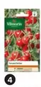 Vilmorin - Tomates Cerises offre à 2€ sur Castorama