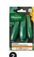 Vilmorin - Courgette Maraichere offre à 2€ sur Castorama