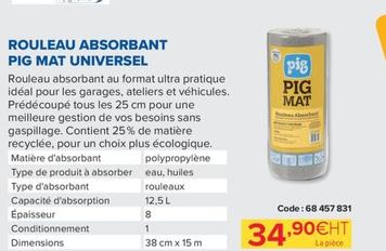 Rouleau Absorbant Pig Mat Universel offre à 34,9€ sur Prolians