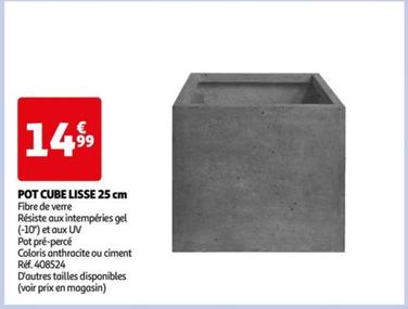 Pot Cube Lisse 25 Cm offre à 14,99€ sur Auchan Hypermarché