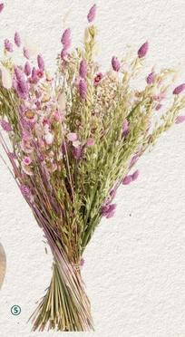 Bouquet De Fleurs Séchées offre à 29,99€ sur Botanic