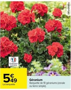 Fleurs offre sur Carrefour