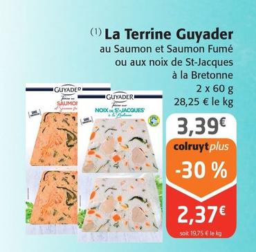 Guyader - La Terrine