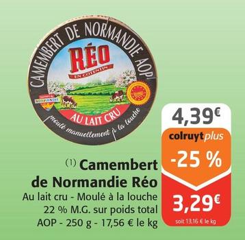 Reo - Camembert De Normandie 