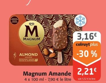 Magnum - Amande 