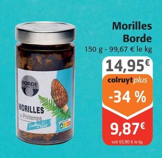 Borde - Morilles
