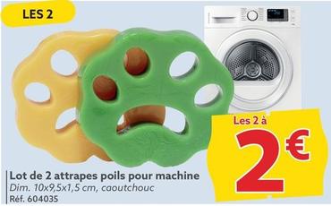 Lot De 2 Attrapes Poils Pour Machine