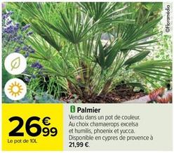 Plantes offre à 26,99€ sur Carrefour Express